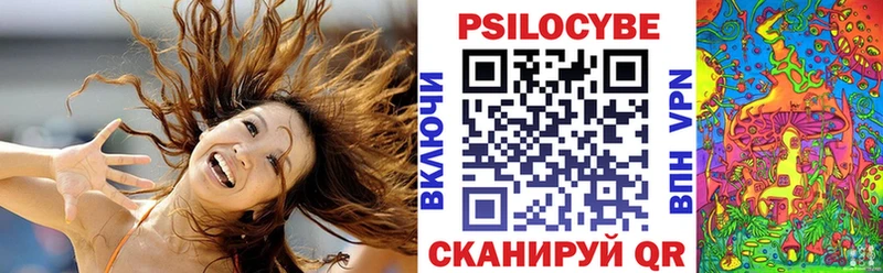 blacksprut ссылка  Таруса  Псилоцибиновые грибы Magic Shrooms 